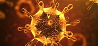 Proposta di Deliberazione “CORONAVIRUS COVID 19”