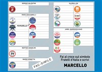 Come Votare
